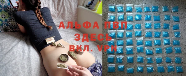 spice Алзамай