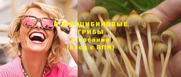 гидра Алексеевка